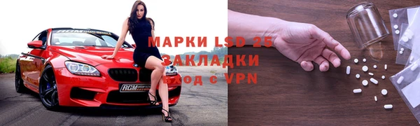 прущие грибы Алзамай