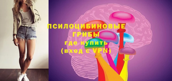 прущие грибы Алзамай