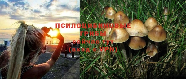 дмт Козловка